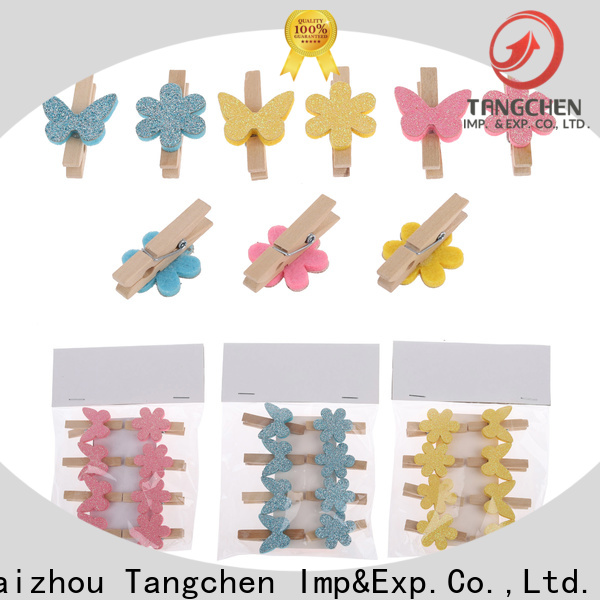Tangchen Top easter ornaments company for home