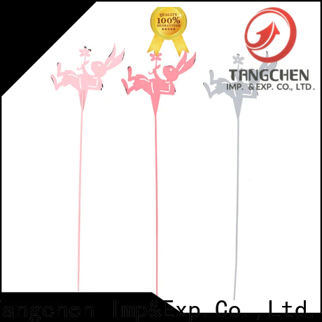 Tangchen newest easter party decorations Supply