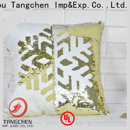 Tangchen Top christmas decorations indoor for business for home