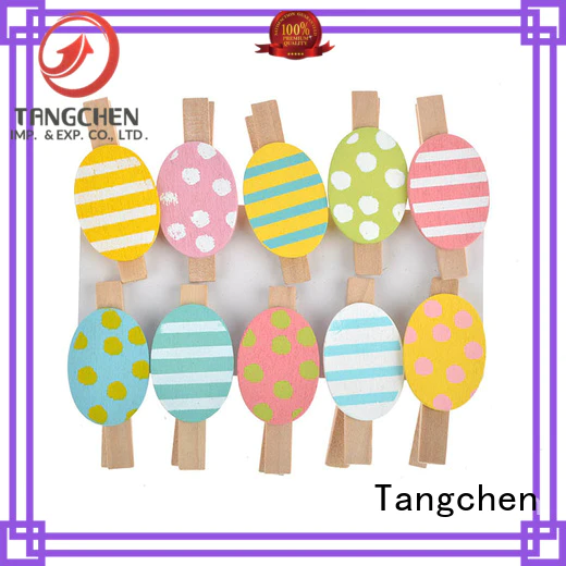 Tangchen kids easter ornaments factory for home