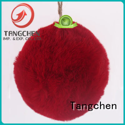 Tangchen indoor christmas decorations online Supply for christmas